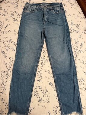 American Eagle Outfitters Sigrid Mom Jeans